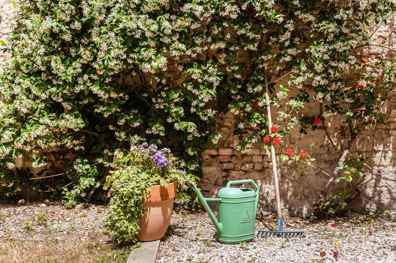 דירות פיזה Hostly - Garden House Near The Tower - Historical House With Private Garden מראה חיצוני תמונה